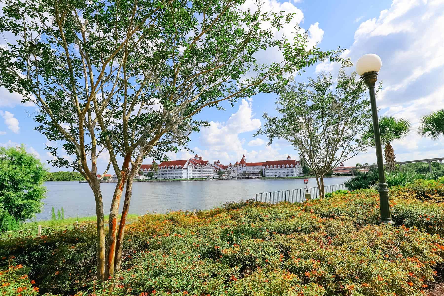 Grand Floridian scenic photo with landscape 
