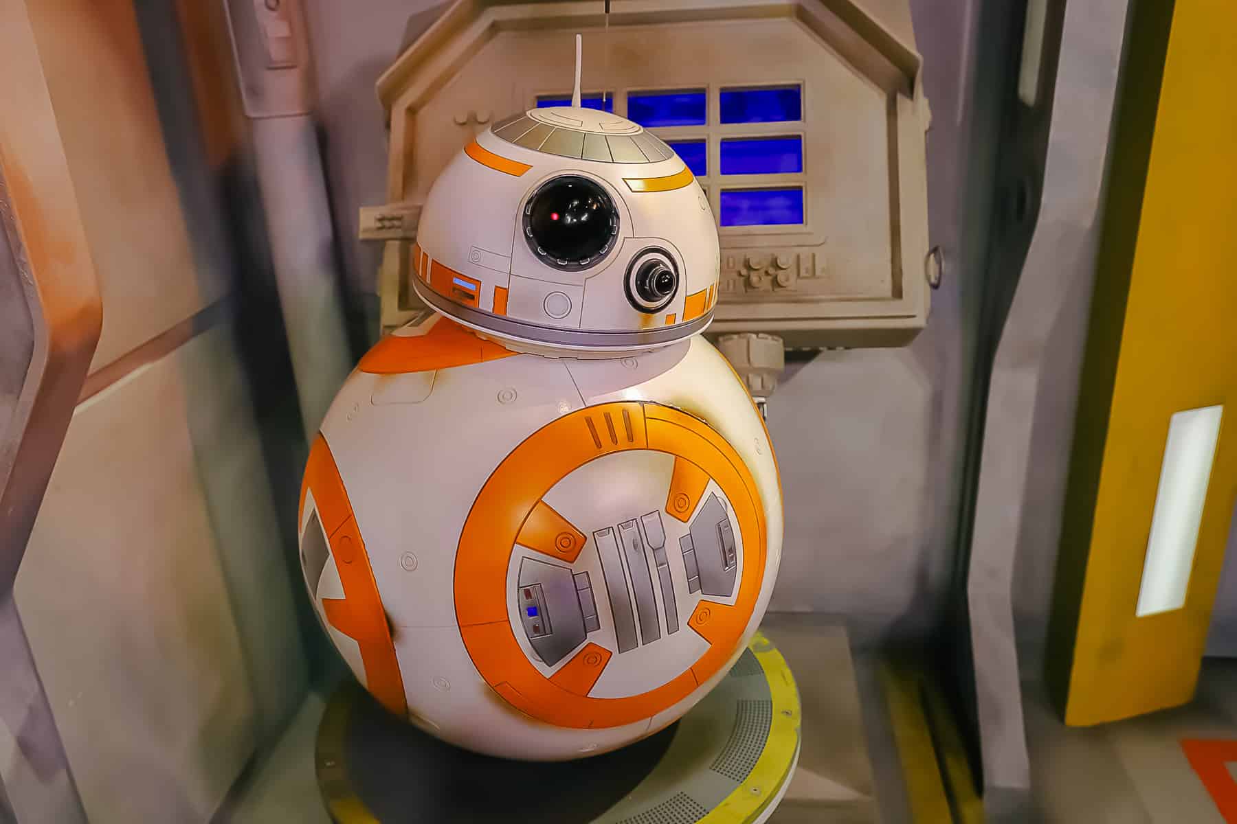 BB-8 at his character meet-and-greet at Disney's Hollywood Studios. 