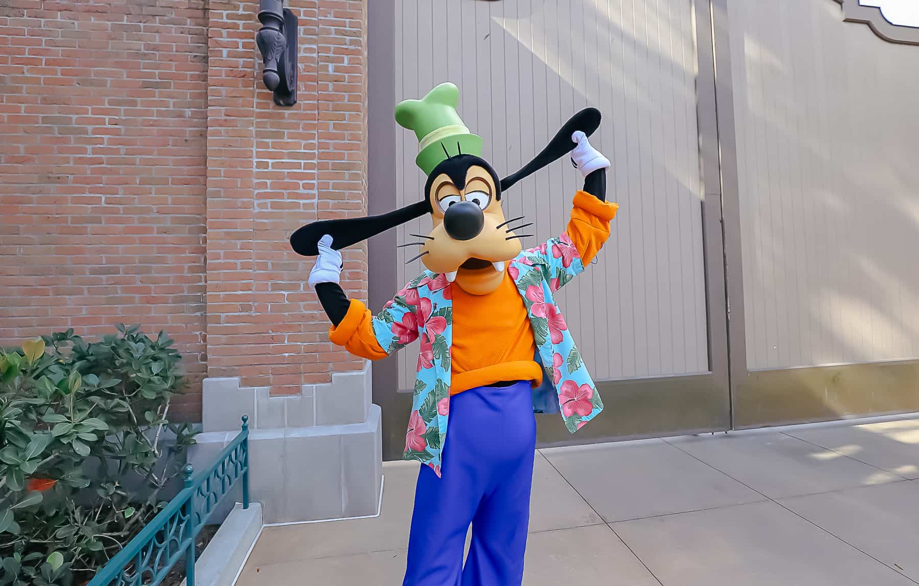 Goofy in his vacation shirt at Hollywood Studios. 