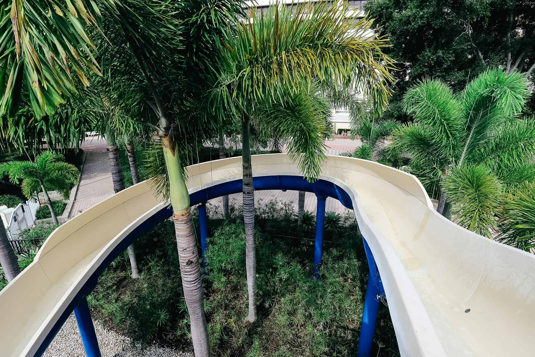 disney yacht club pool slide