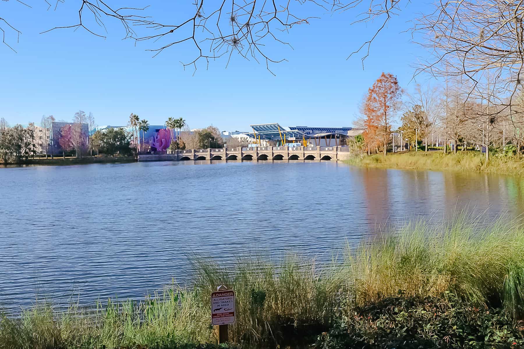 A Walk Around Hourglass Lake at Disney World