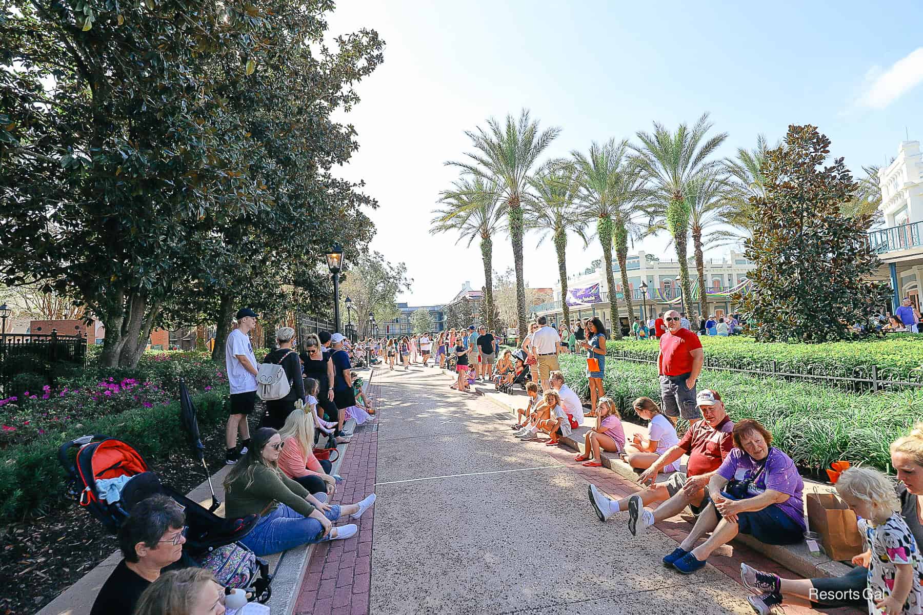 a crowd of guests waiting on the Mardi Gras parade at Disney