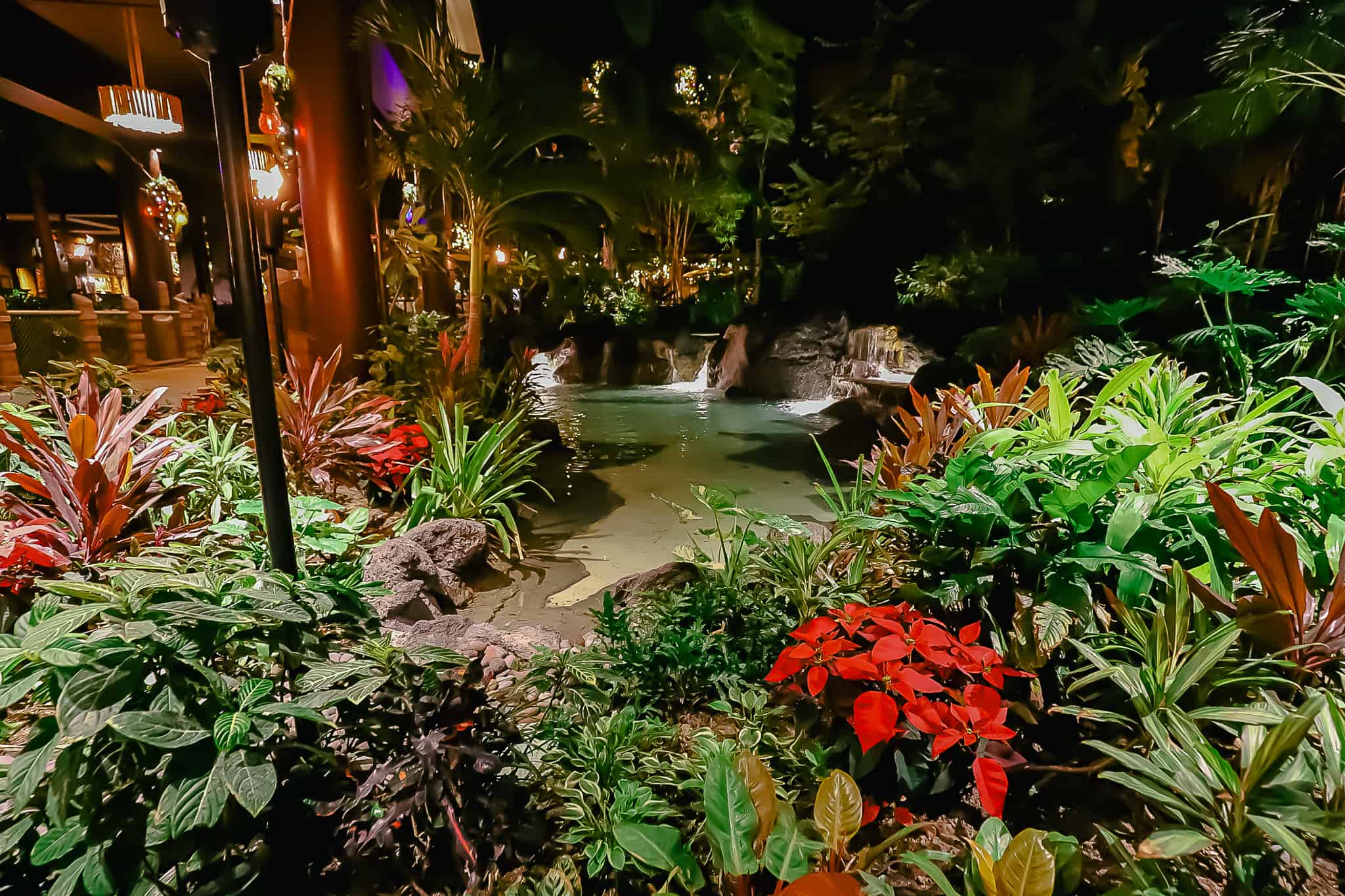 Shows how the entrance is decorated with poinsettias.