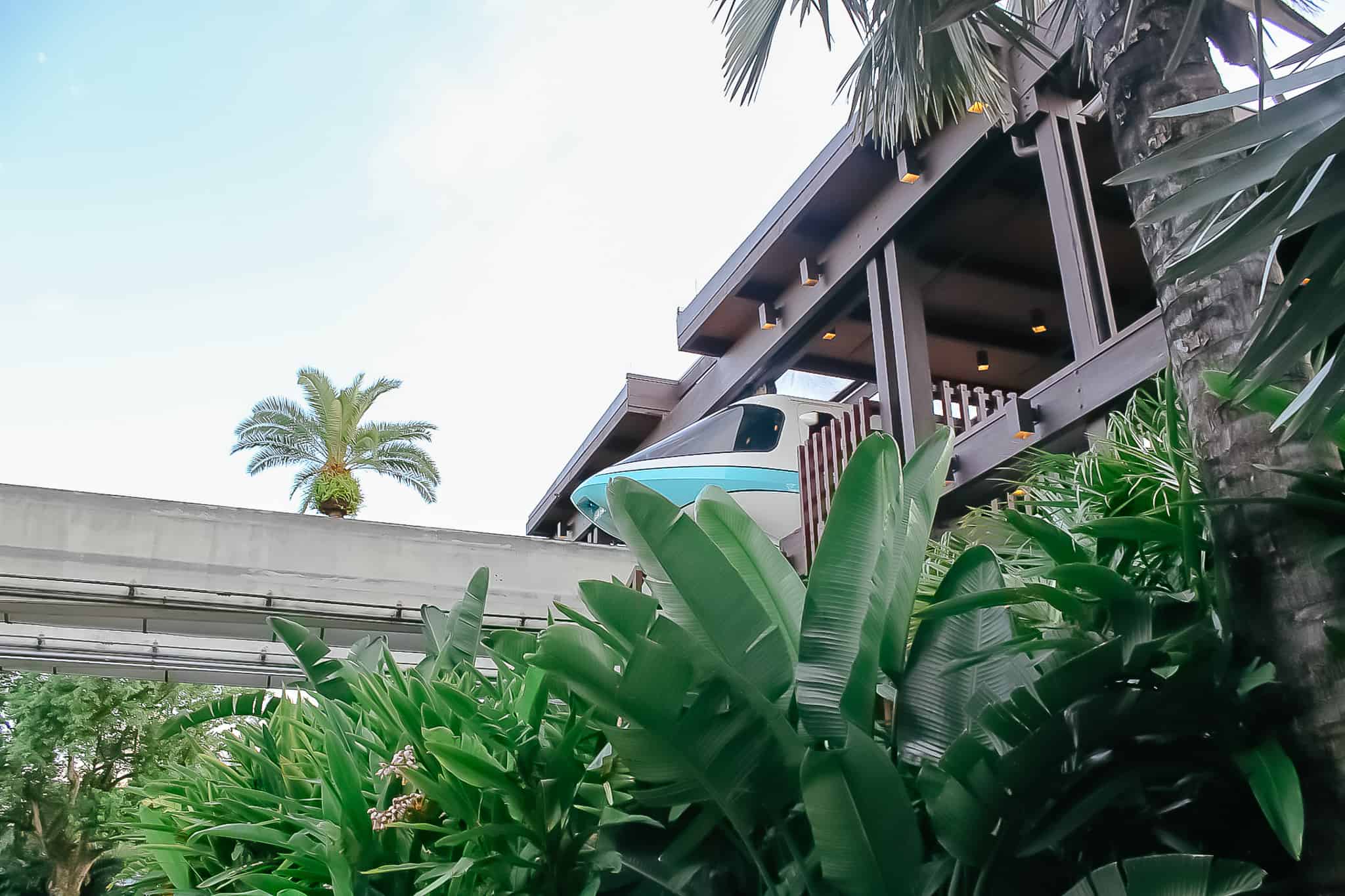 the monorail stopped at Disney's Polynesian