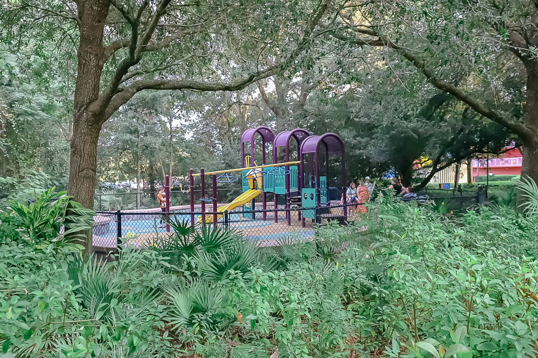 playground near the pool 
