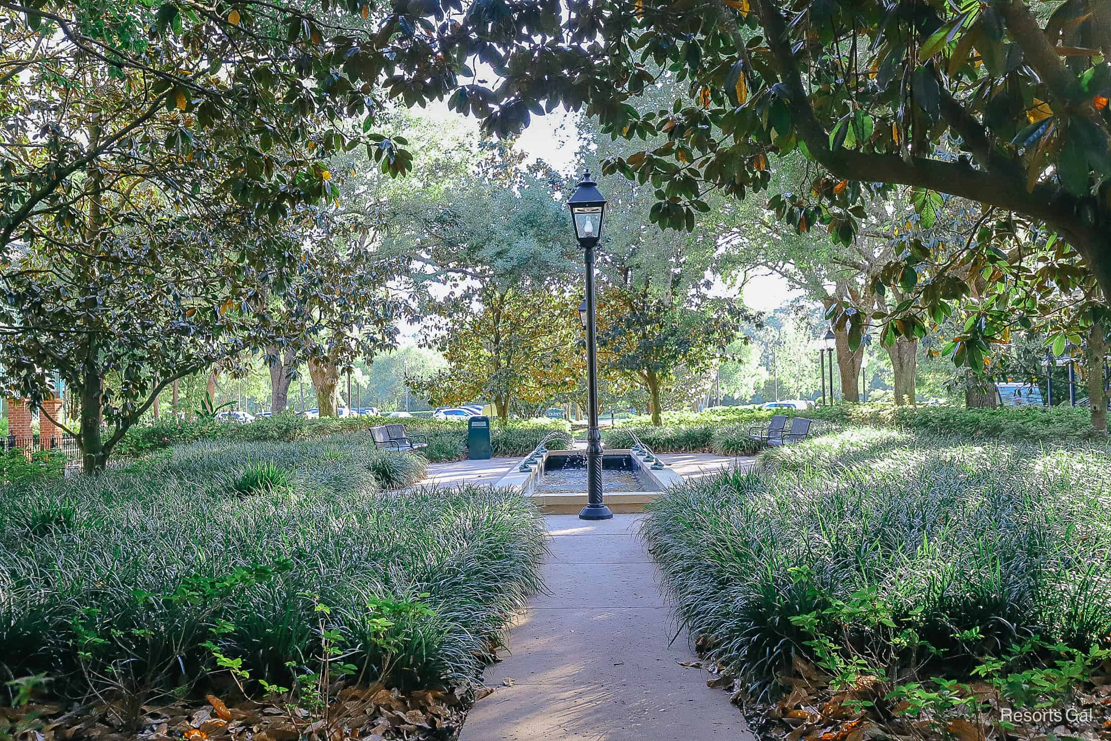 a sidewalk that's surrounded by green landscaping and trees 