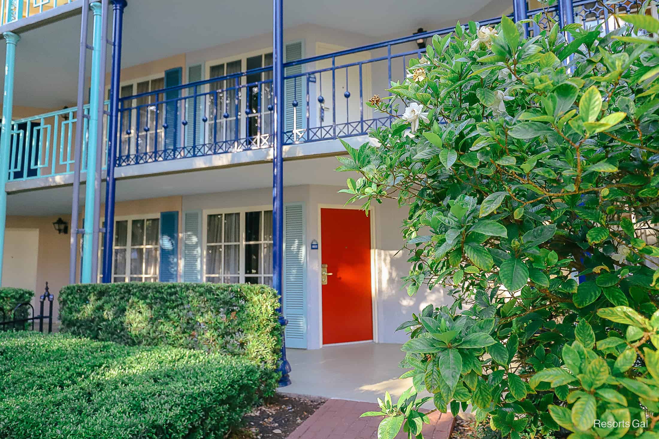 a bright red door with pretty flowering white bushes 