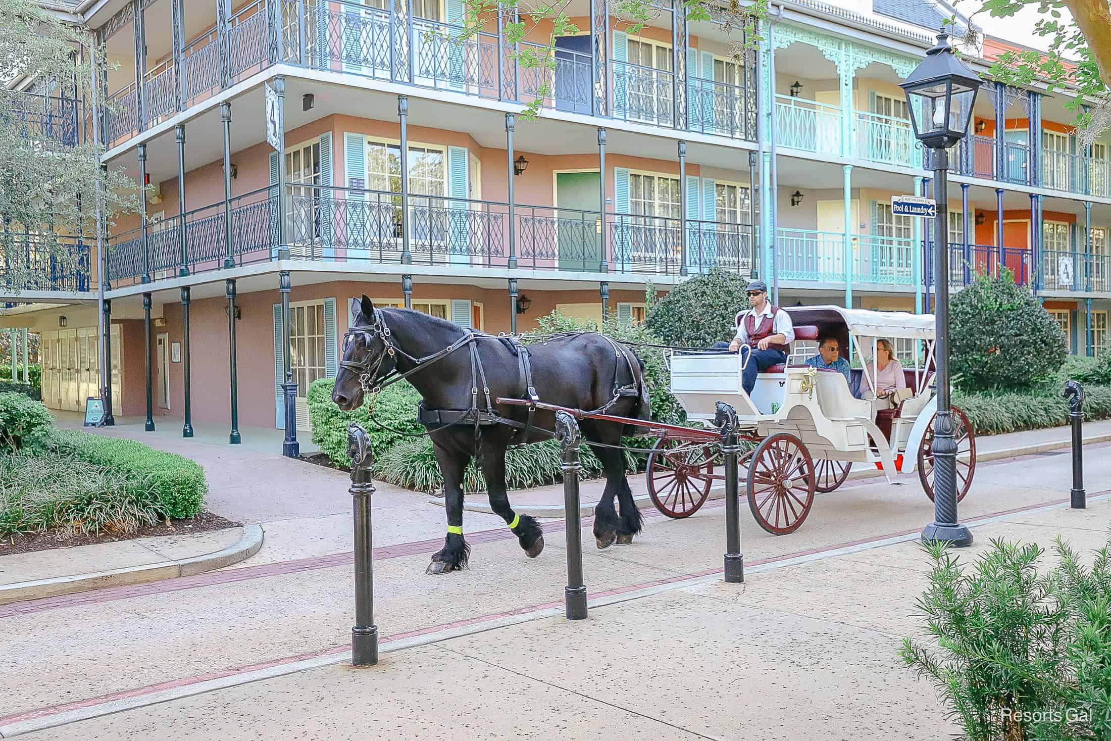 a black horse with a cast member carriage drive at Port Orleans French Quarter
