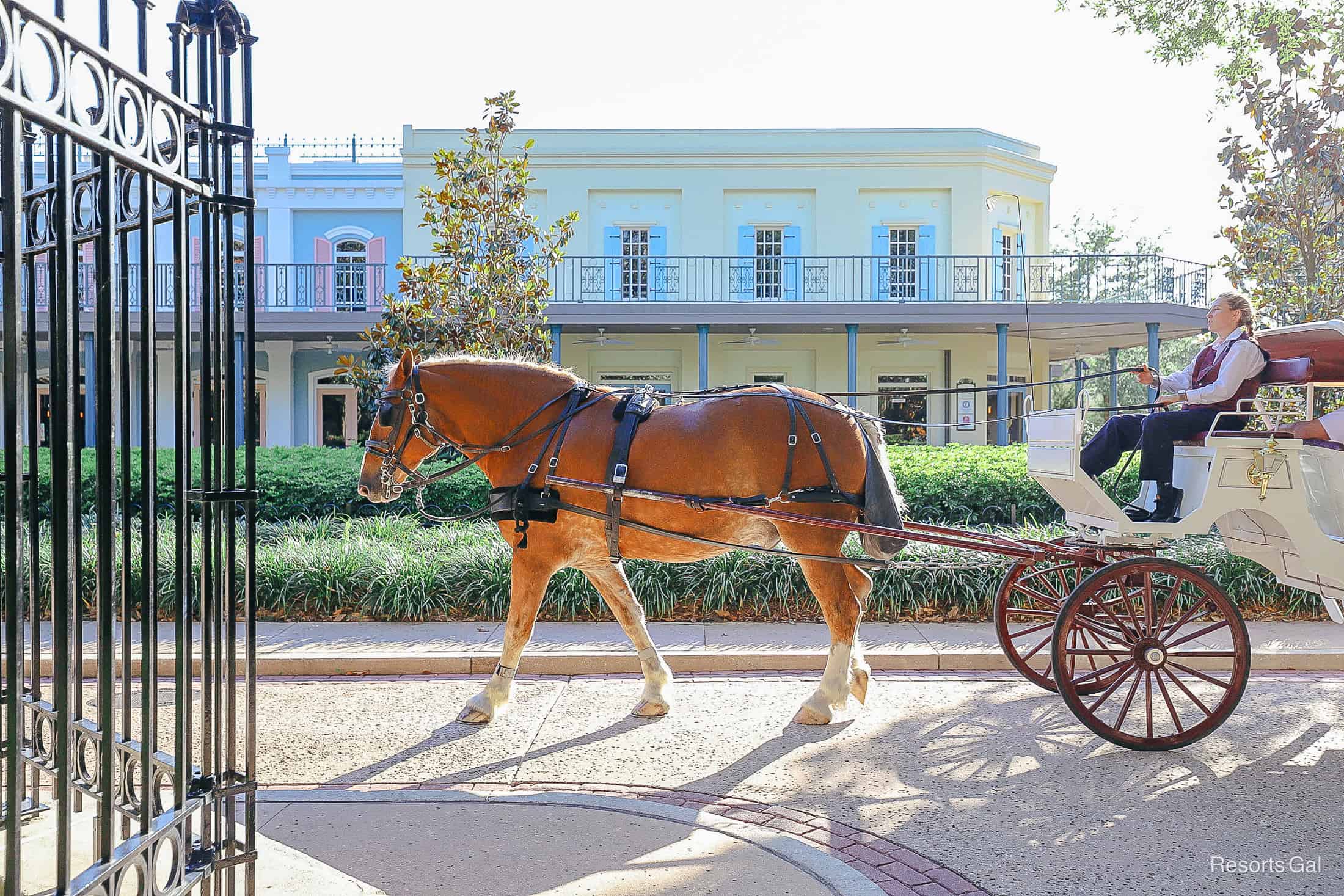 a medium brown Percheron horse pulling a carriage through the French Quarter 