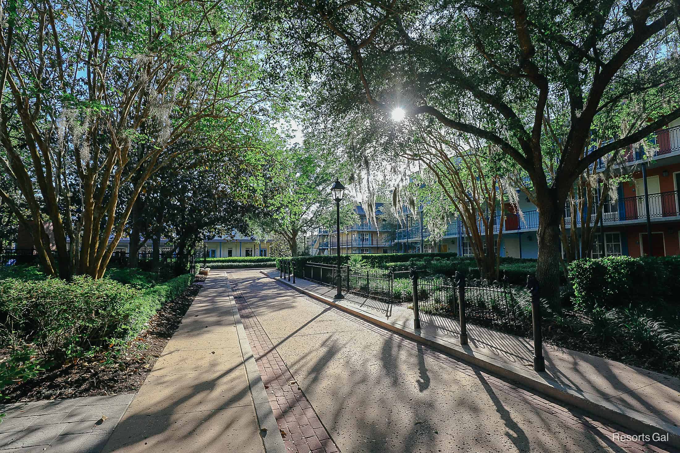 a tiny sunshine casting light through the trees and creating a pretty shadow effect at Port Orleans French Quarter 