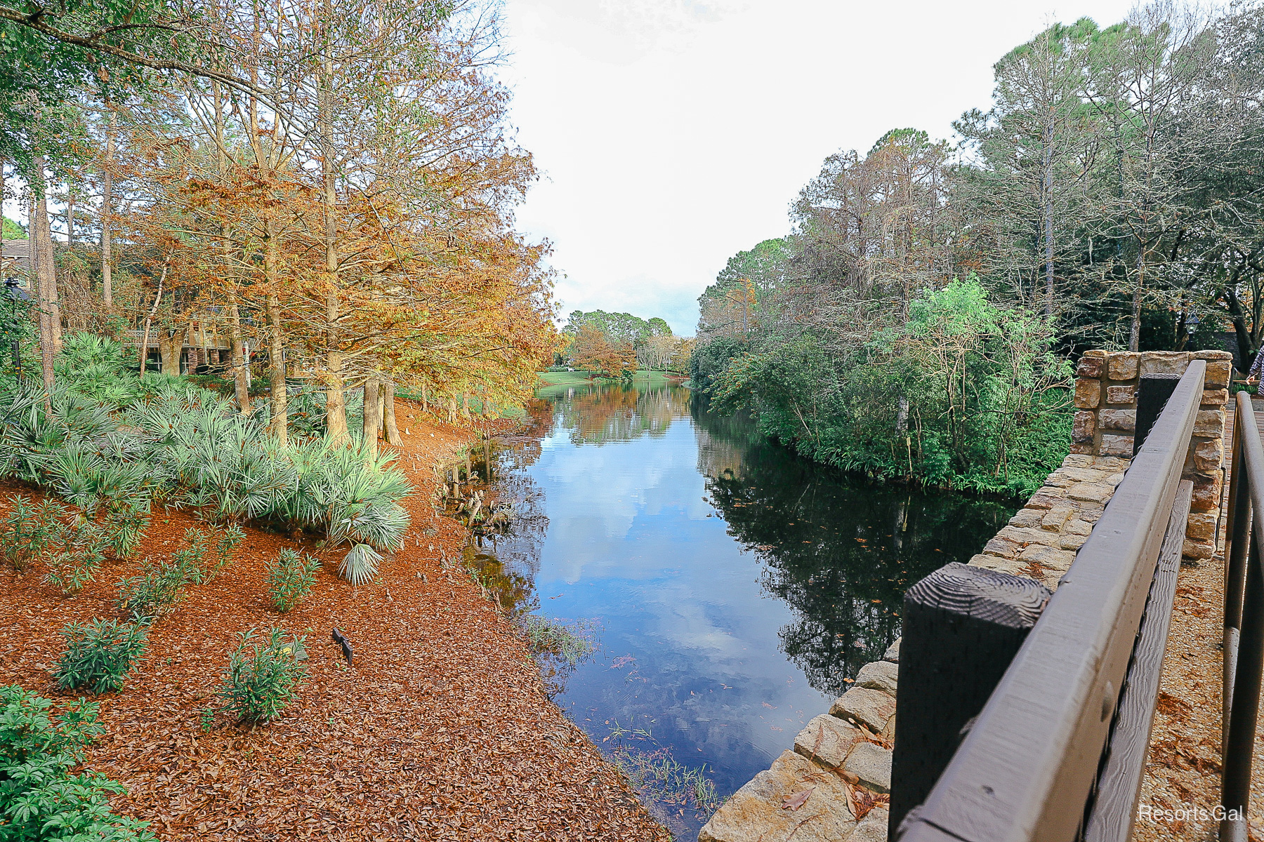 looking off the side of the bridge from Alligator Bayou to Magnolia Bend 