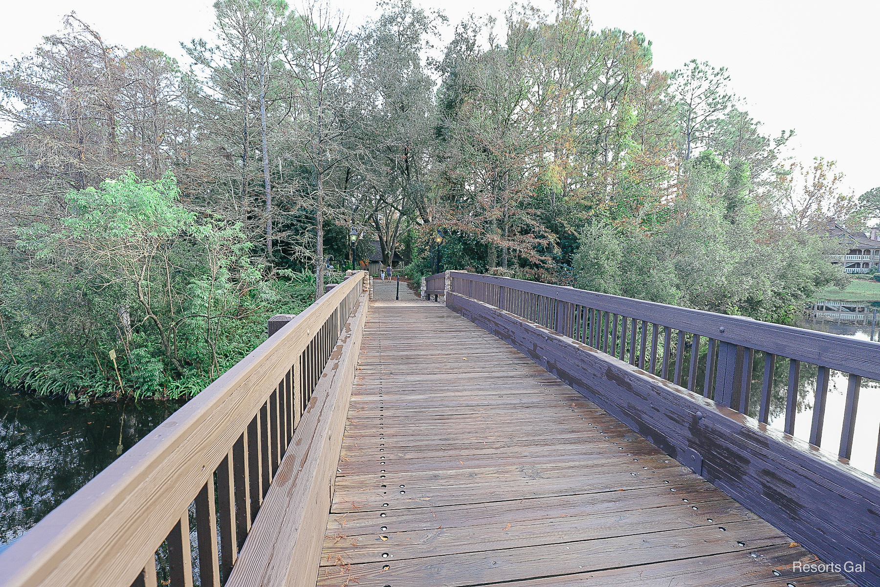 the wooden bridge to the Alligator Bayou from Ol' Man Island 