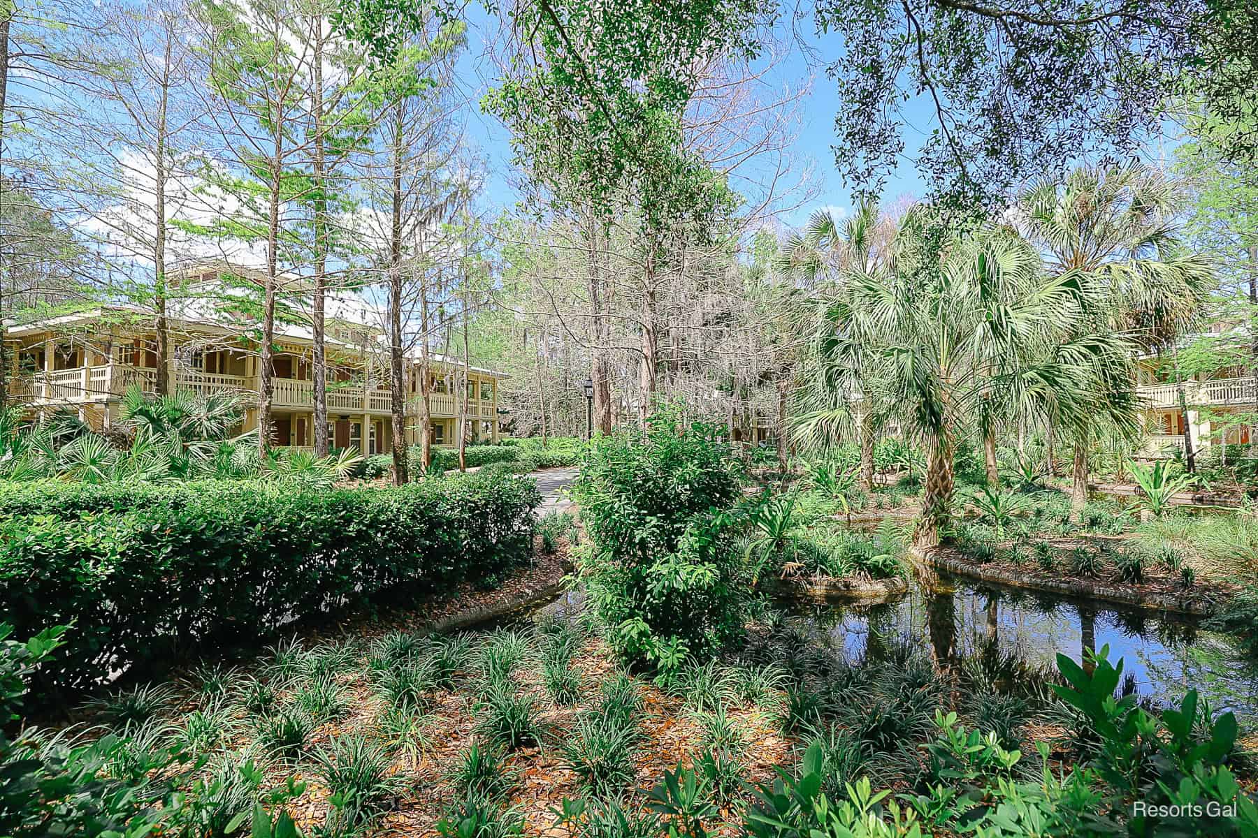 a swamp-like setting with a variety of trees and plantings in Alligator Bayou 