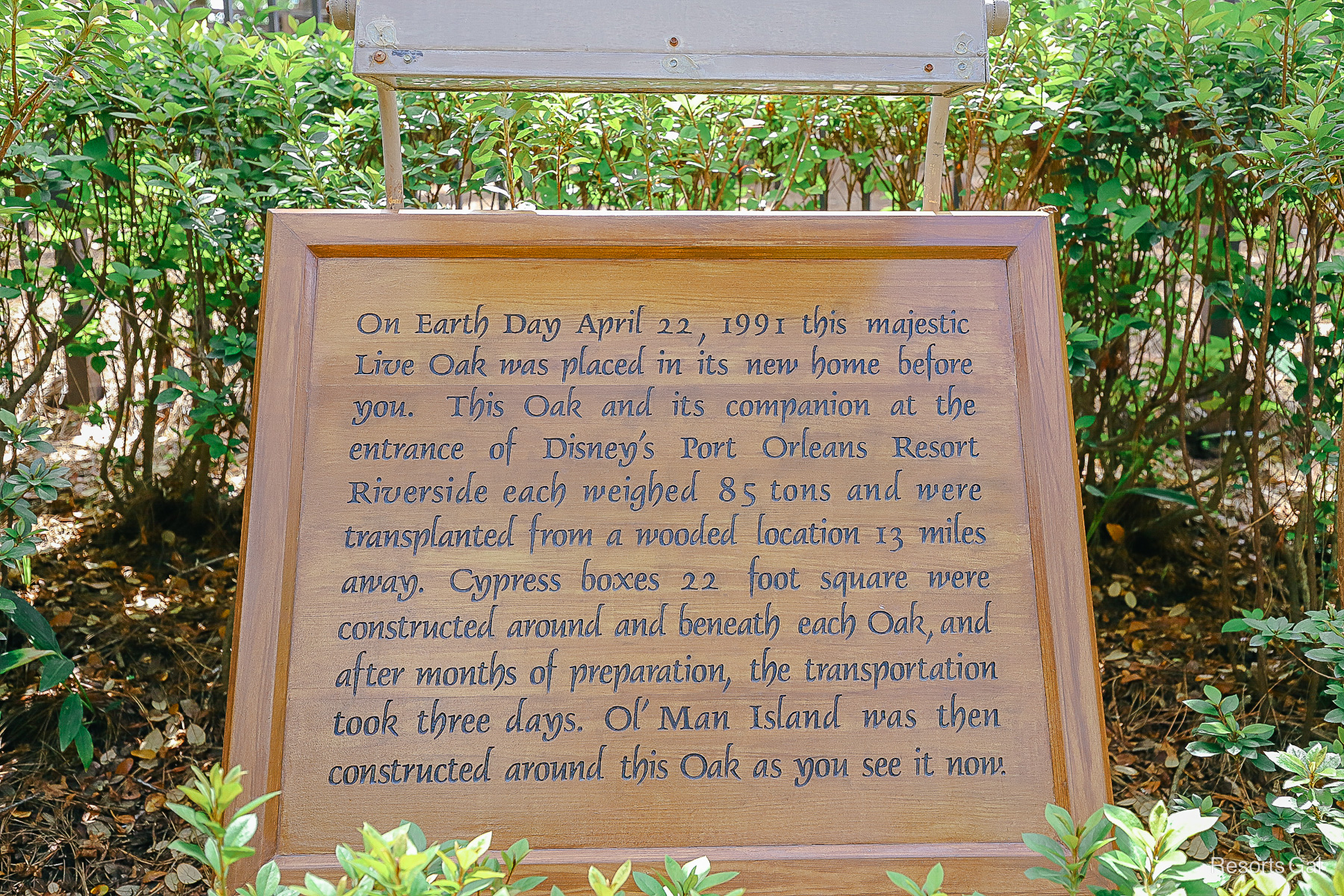 the sign tells how the tree was planted in honor of Earth Day 