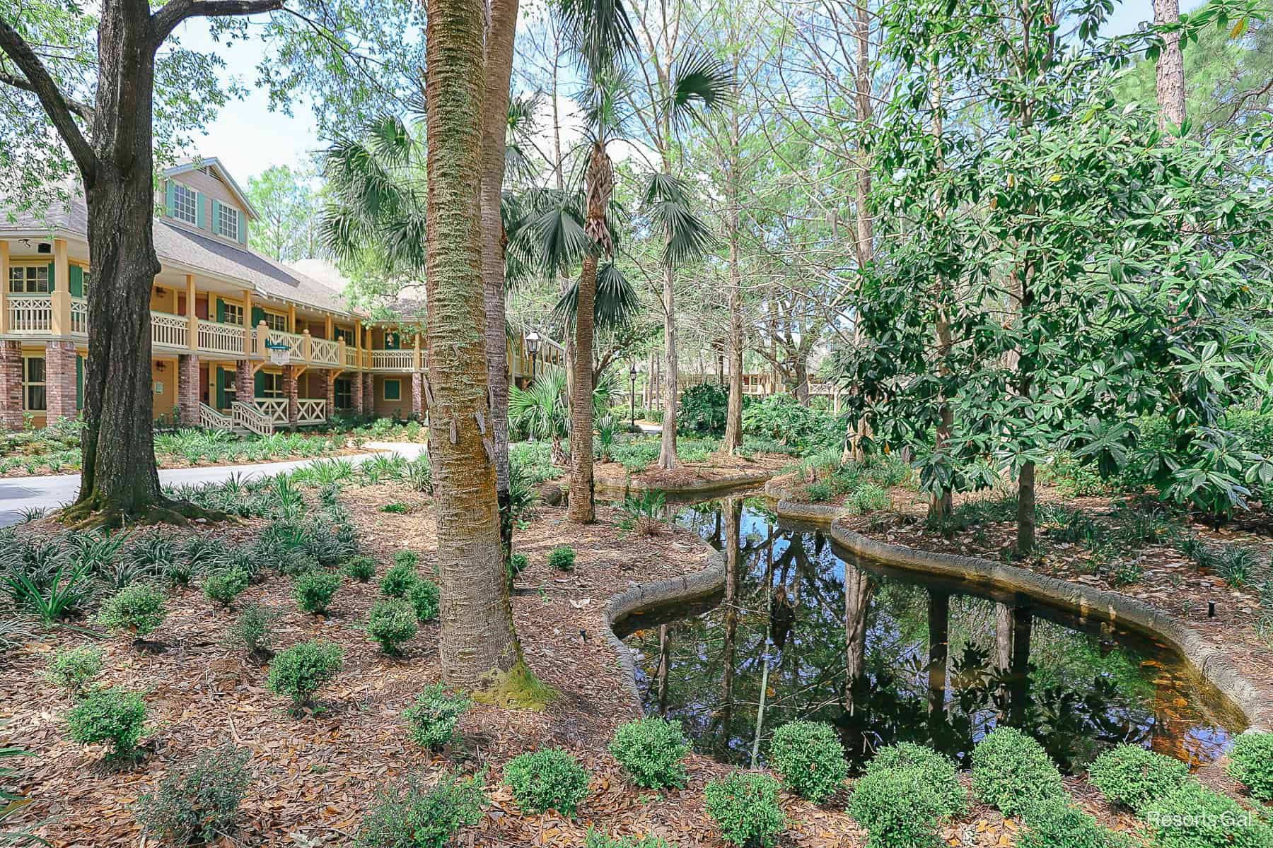 a lagoon shaped pond with shrubs and Magnolia Trees planted around it 