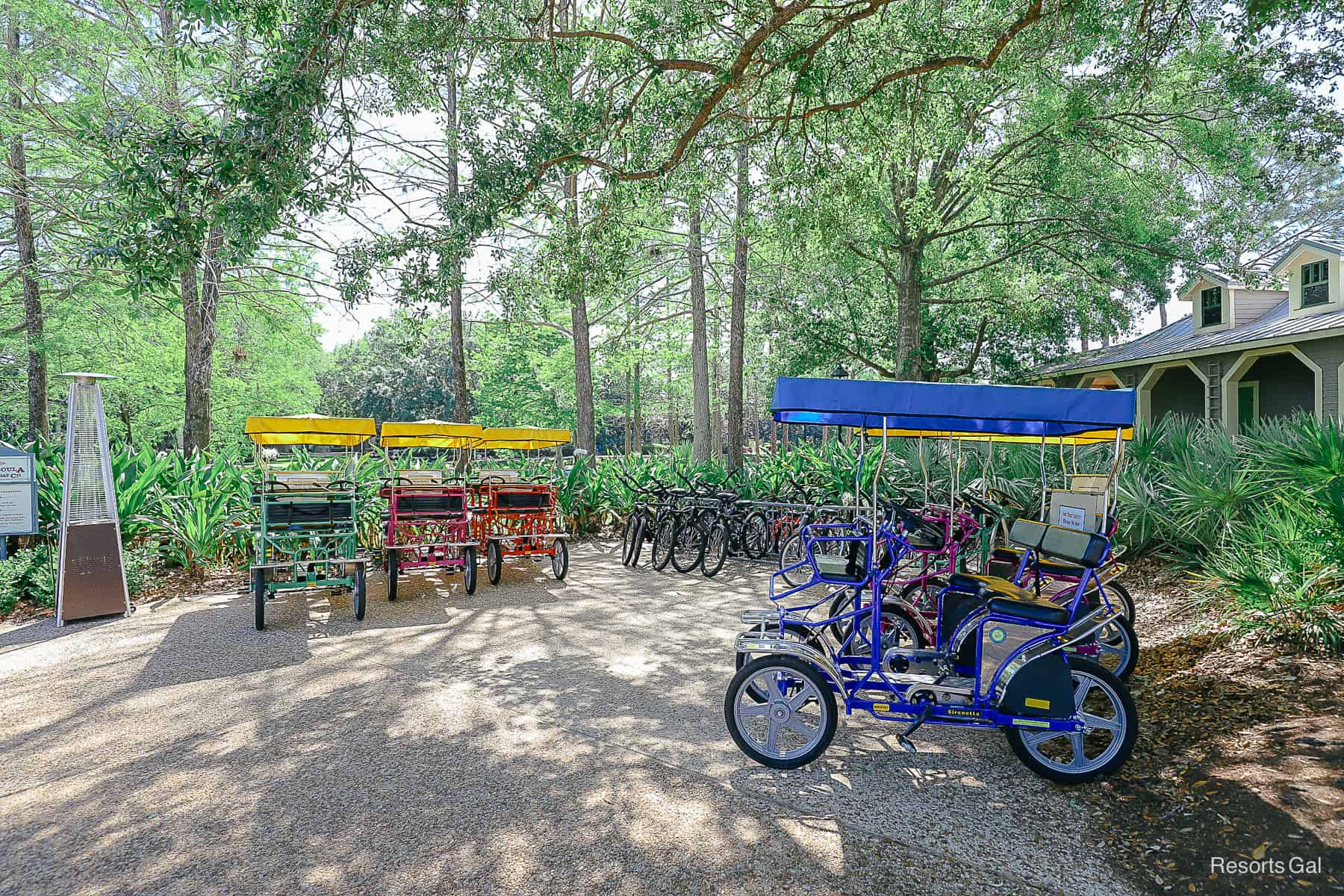 a group of Surrey bikes and regular bike rentals 