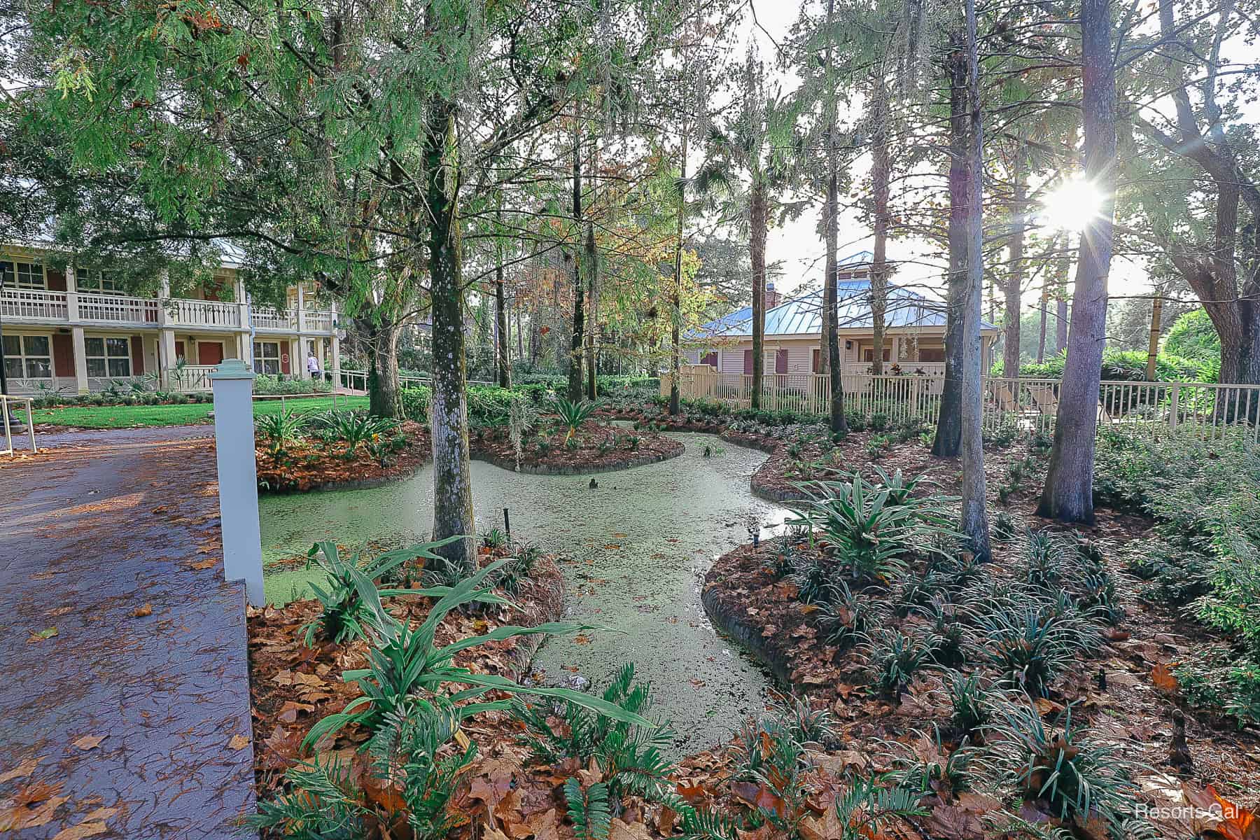 a small foot bridge crosses a moss covered pond in the Alligator Bayou 