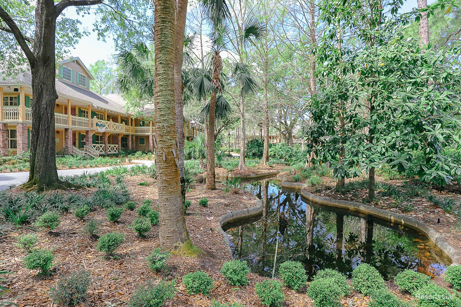 a small pond surrounded by landscaping and pine needles 