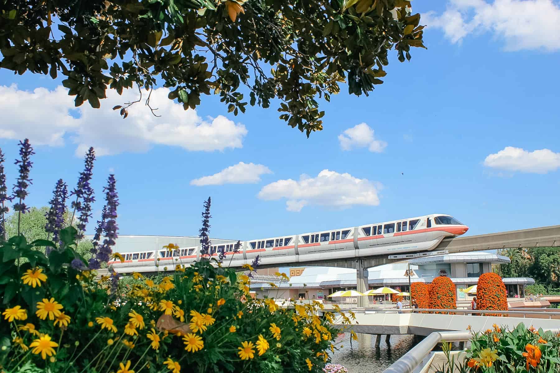 the monorail as it travels through Epcot
