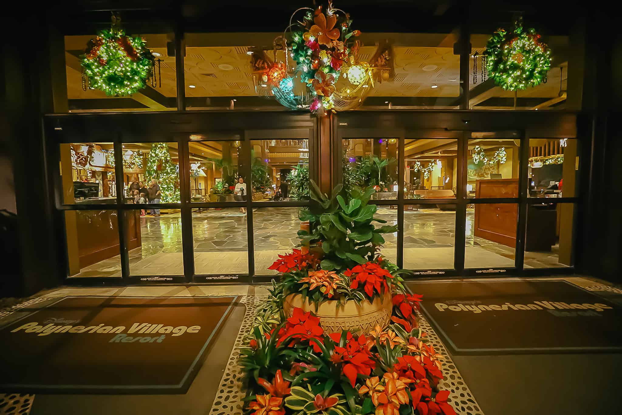 Poinsettias near the front door of Disney's Polynesian 
