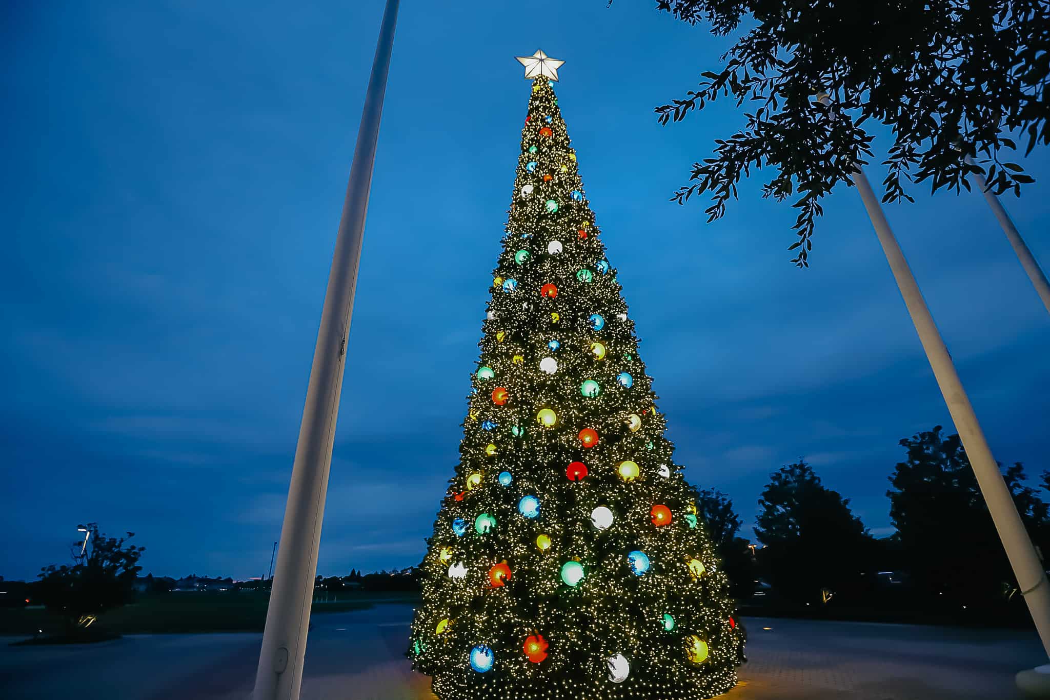 The large Christmas tree with colored globe lights outside of Disney's Contemporary. 