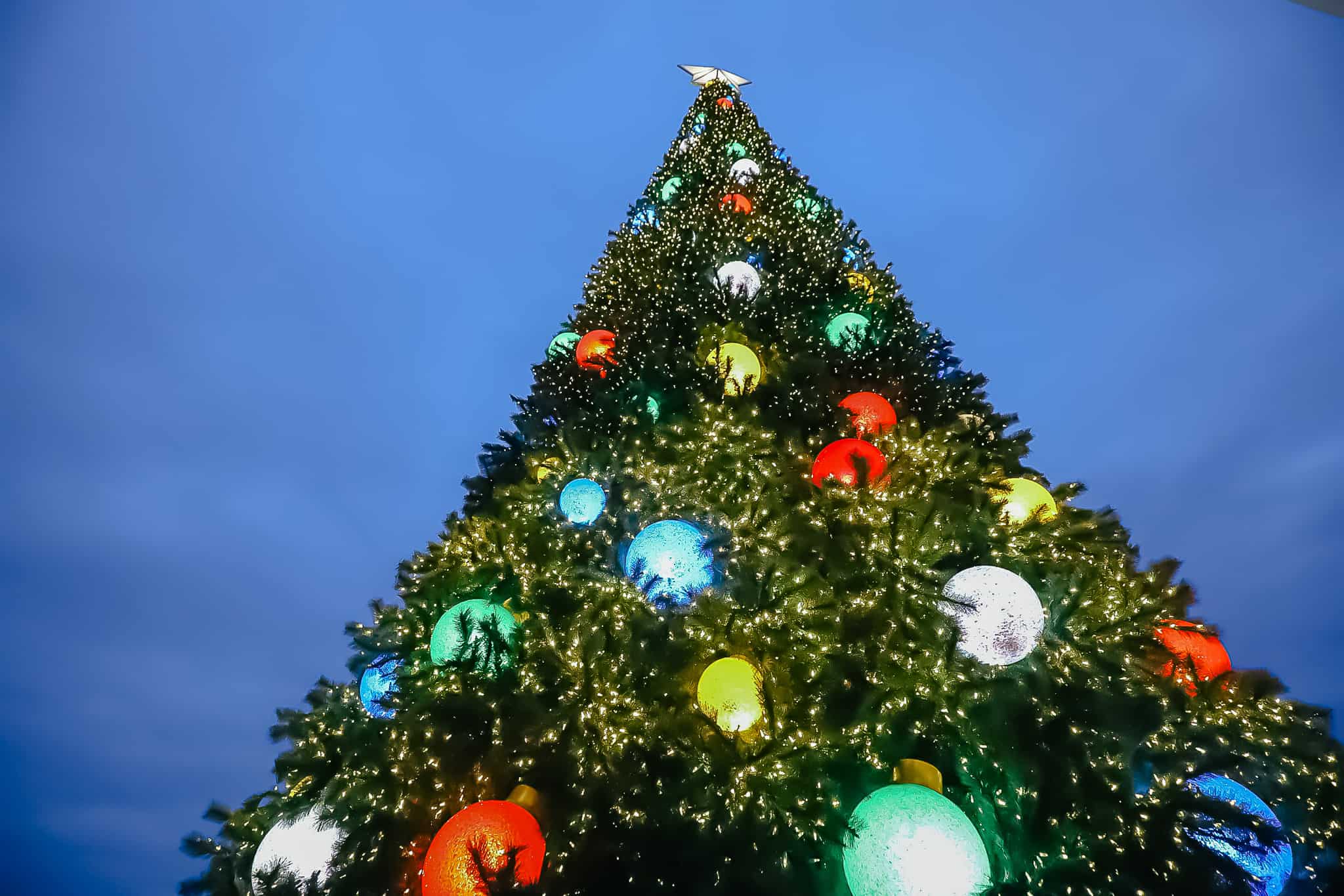 Colored lights on a Resort Christmas tree at Disney World 