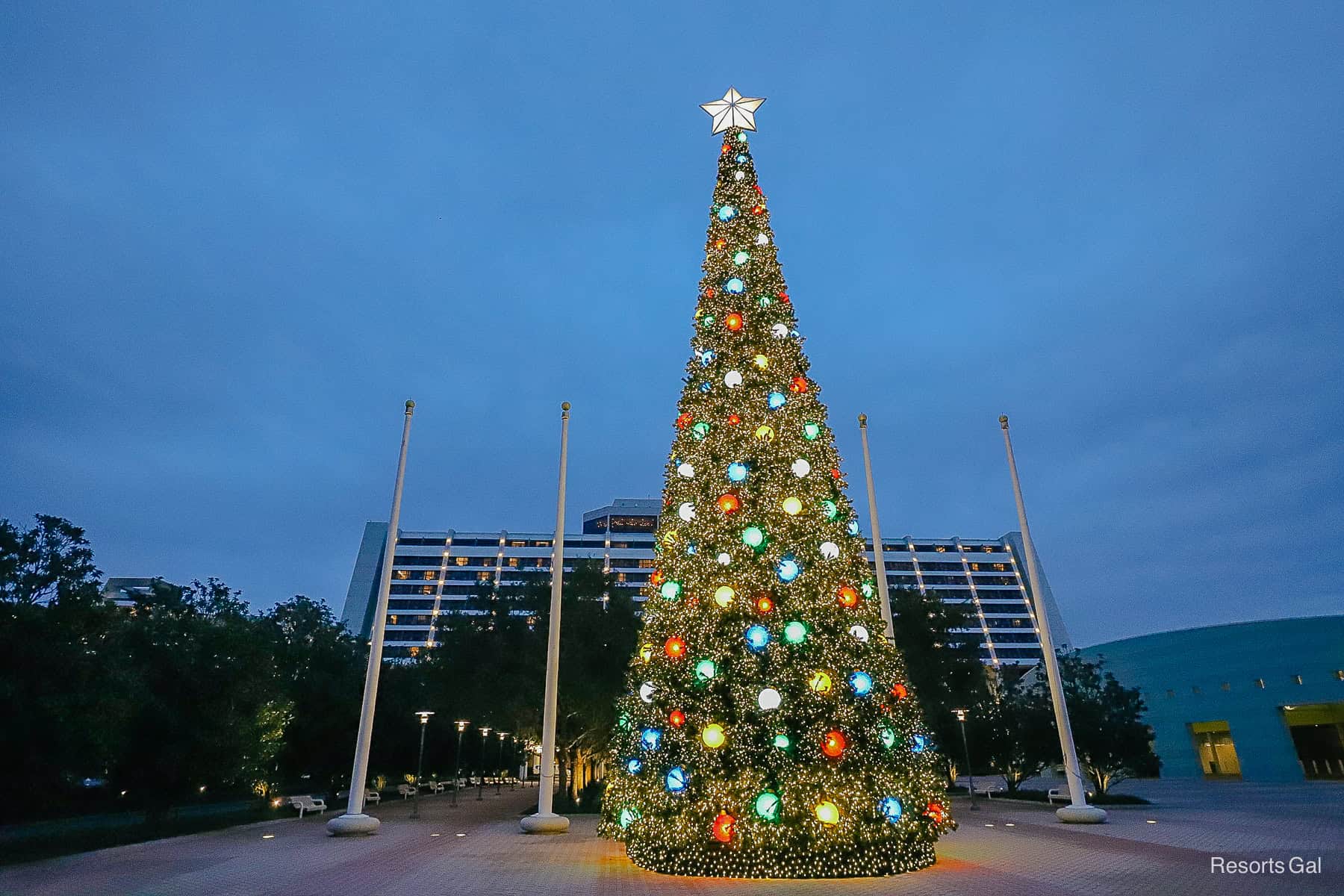 a large outdoor tree outside of Disney's Contemporary Resort 