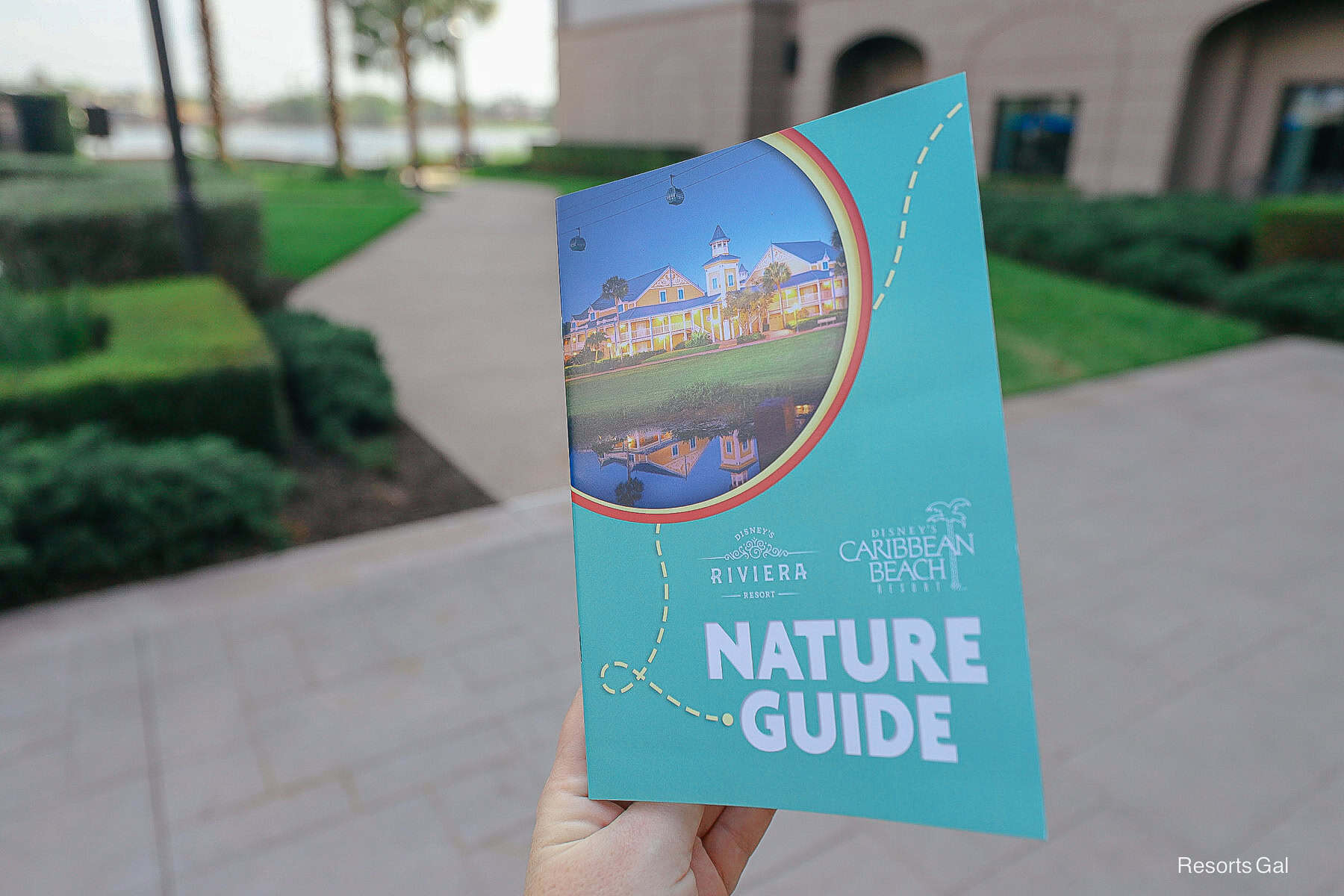 a hand holding the Nature Guide for Disney's Riviera Resort