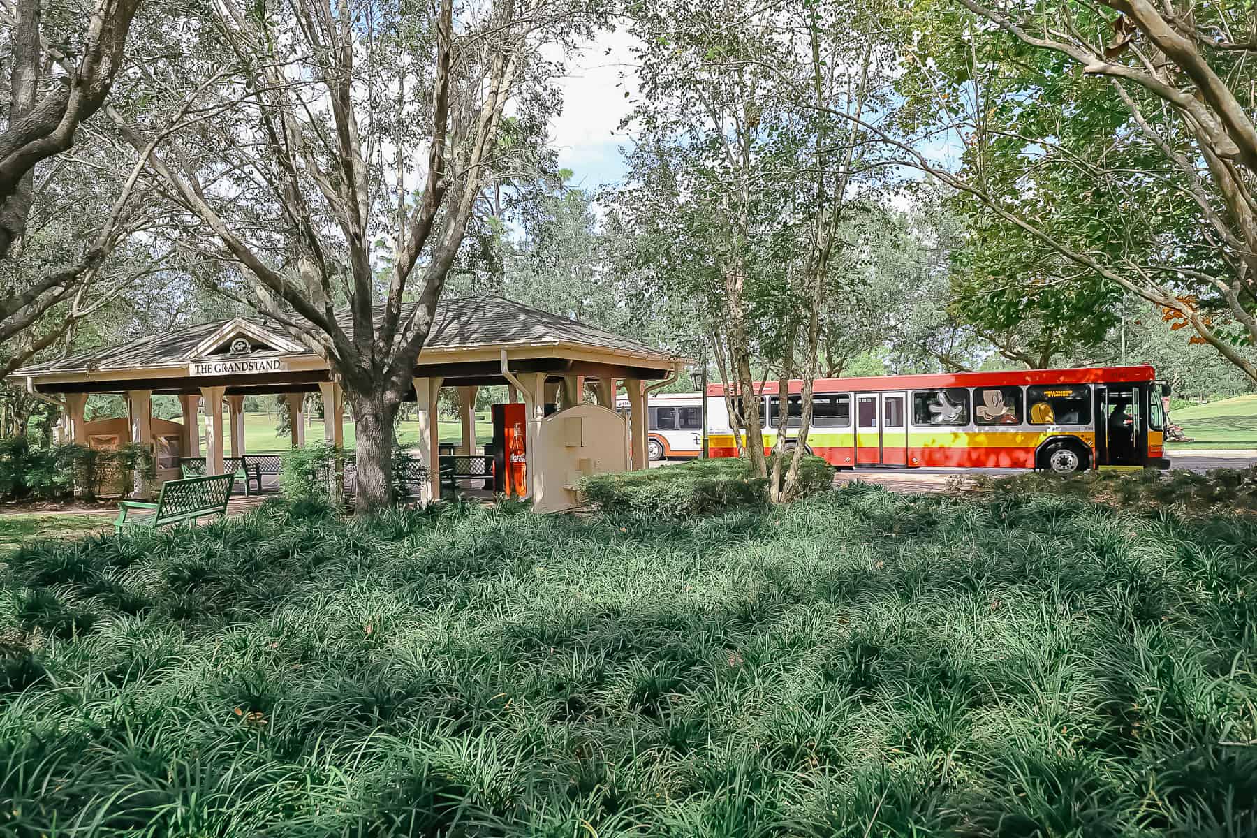 bus to Epcot from Disney Saratoga Springs 