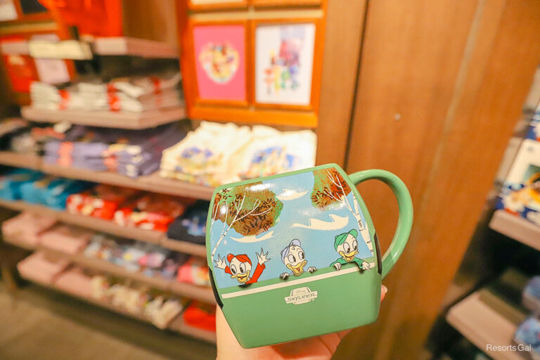 Disney World Merchandise Collections 2025: New Releases, Limited Editions, and Fan Favorites