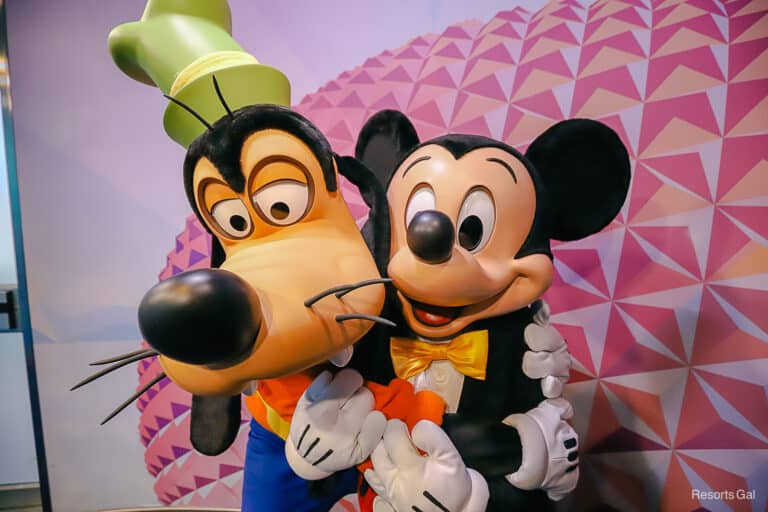 Walt Disney World Visa Character Meet and Greet