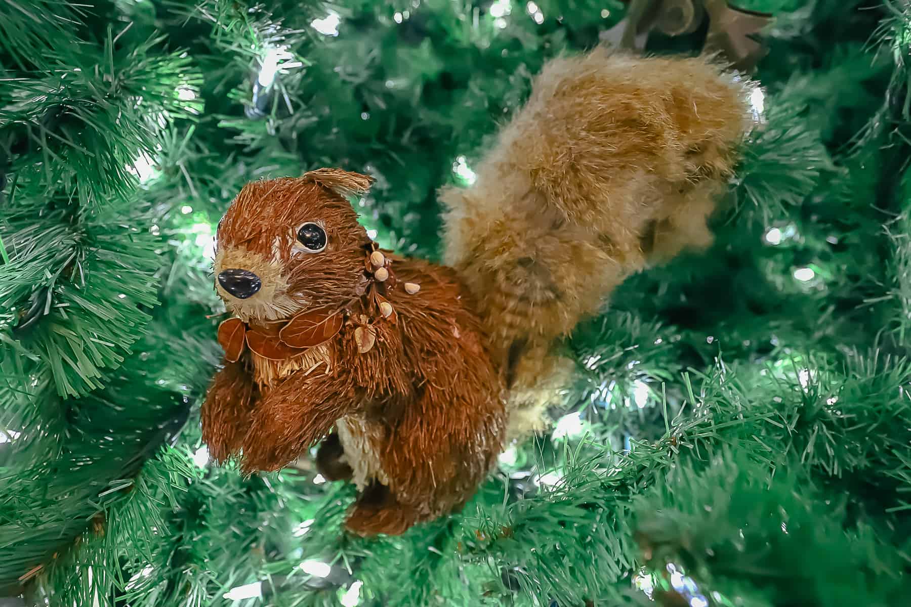 hungry squirrel ornament 