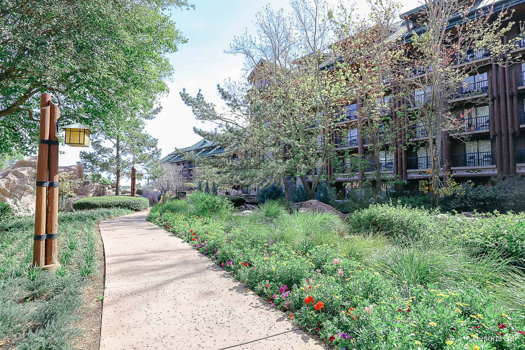 wildflowers and shrubs at the Wilderness Lodge 