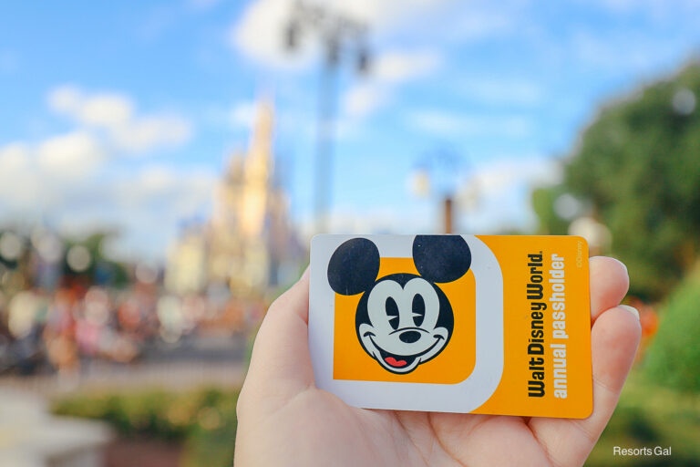 Limited-Time DisneyStore.com Discount Available for Annual Passholders at Disney World