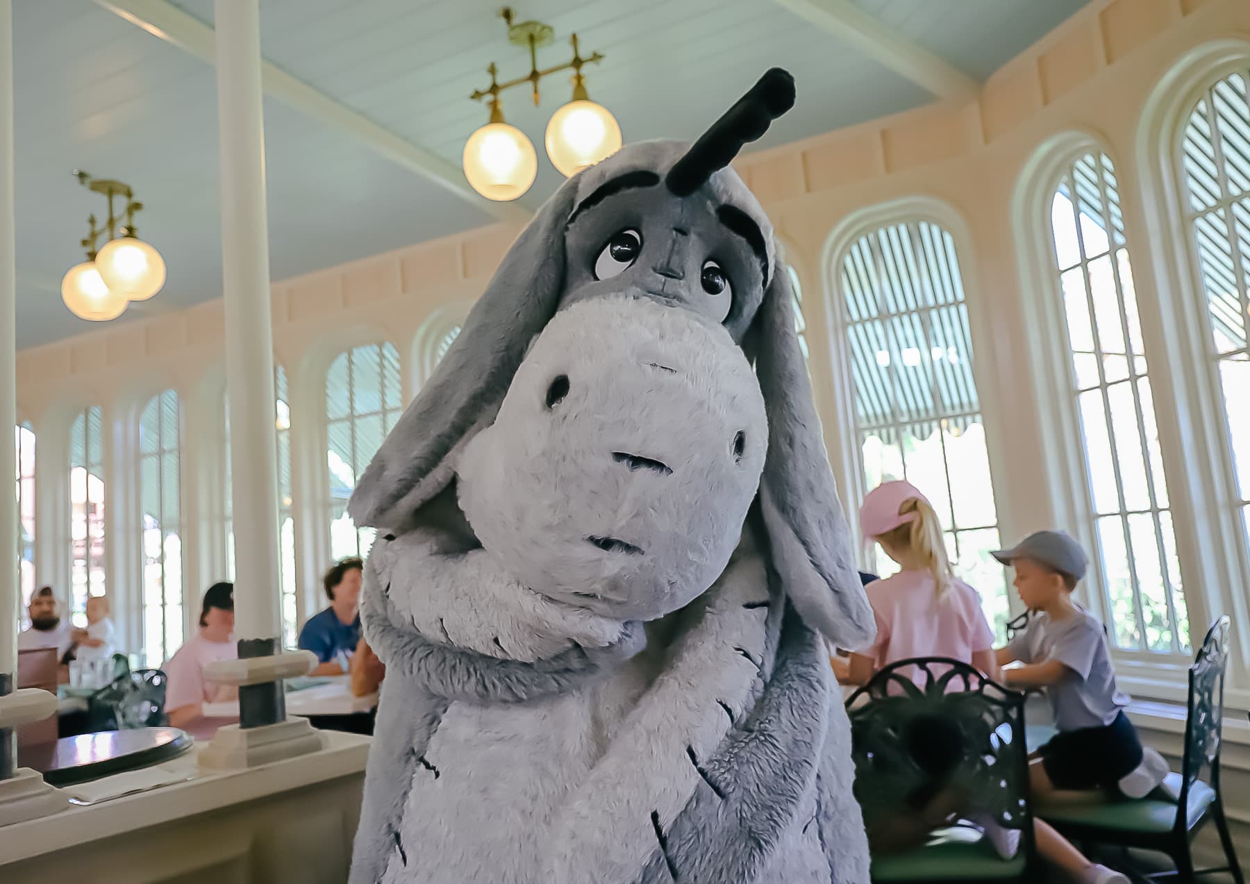 Eeyore poses for a photo at his character dining meal. 