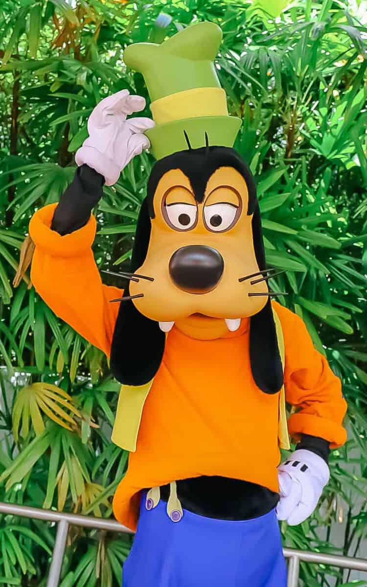 Goofy in classic costume with orange shirt and green hat. 