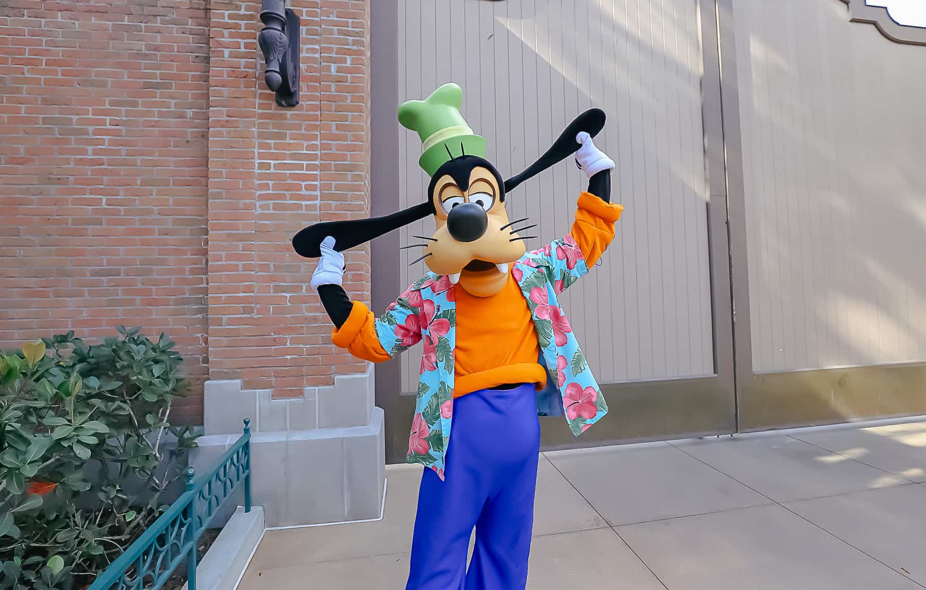Goofy with a vacation shirt over his regular outfit. 