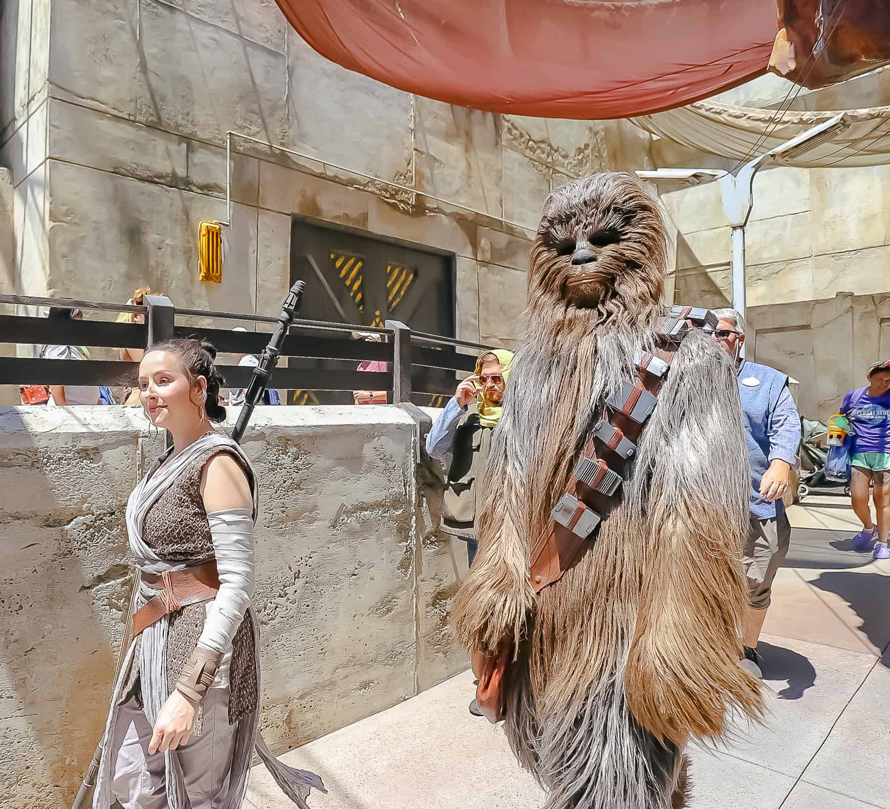 Rey from Star Wars walking through Galaxy's Edge with Chewbacca. 