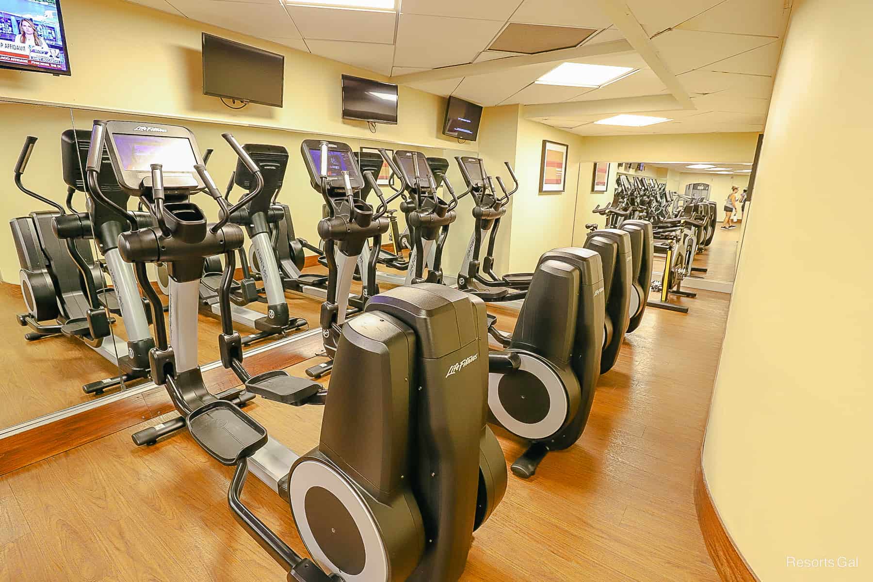 a row of ellipticals at Disney's Contemporary gym 