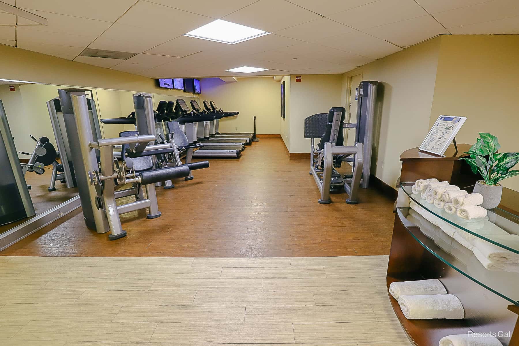 swan yacht club gym