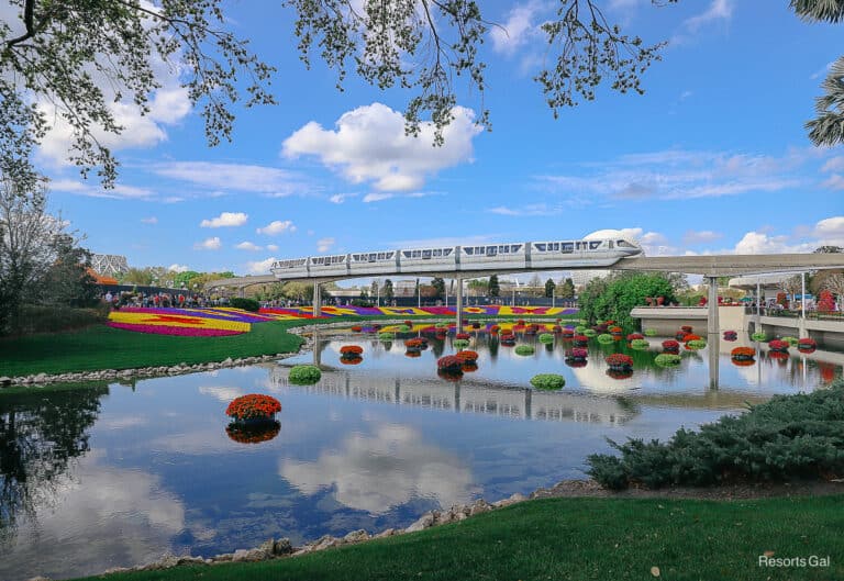 Disney World Monorail Transportation Guide