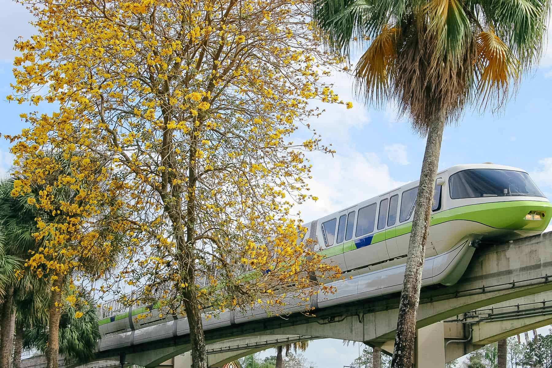 Disney World’s Monorail Hotels (The Complete Guide)
