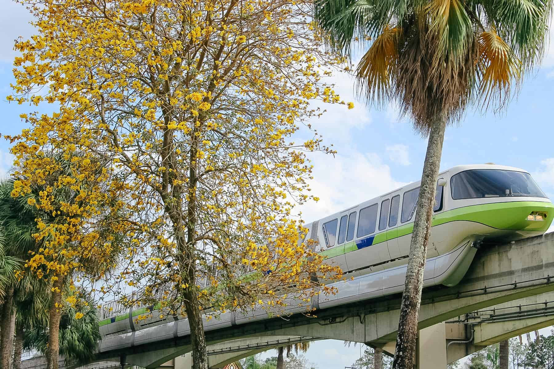 Disney World Monorail Hotels