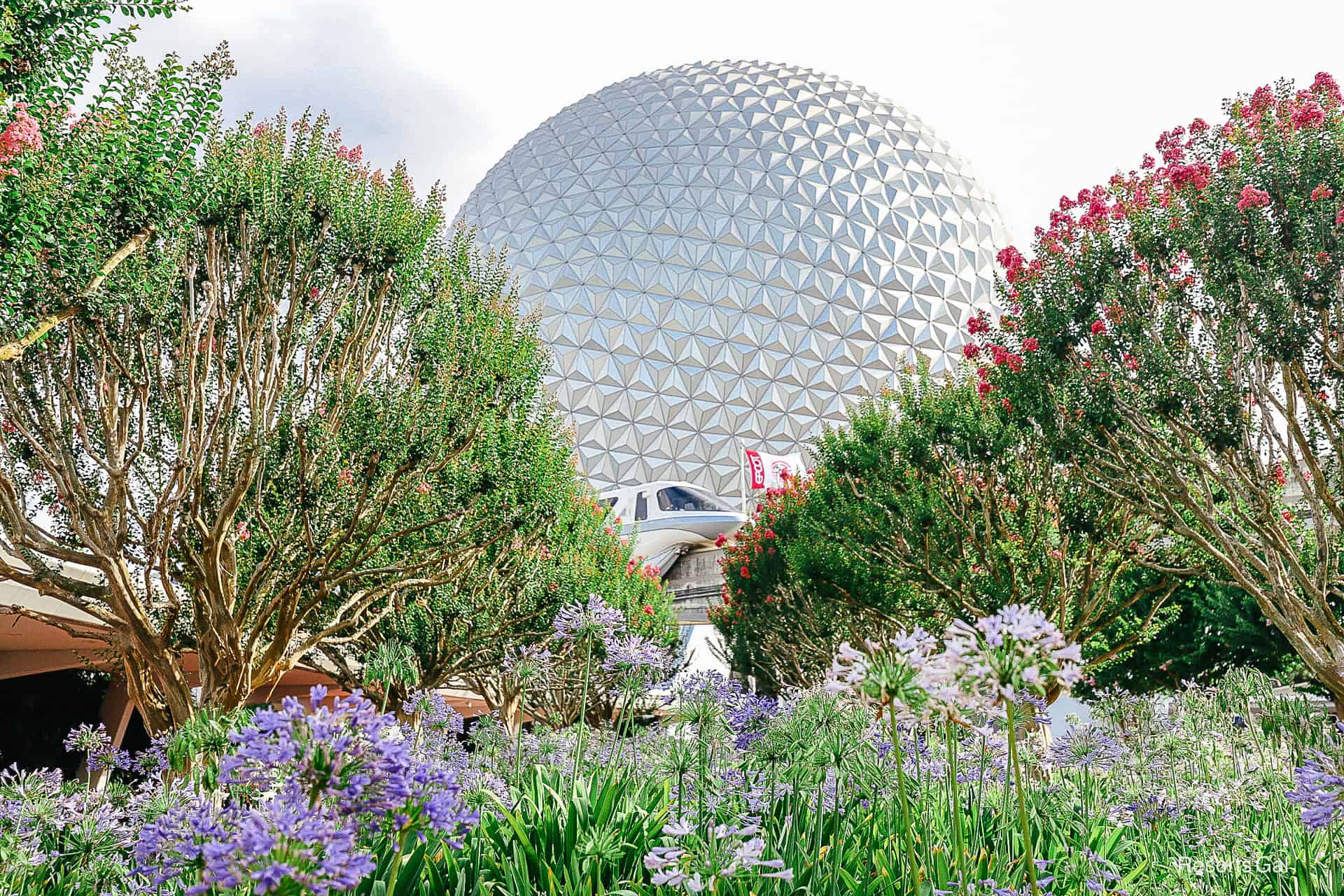 How to Plan a Disney World Vacation : Epcot