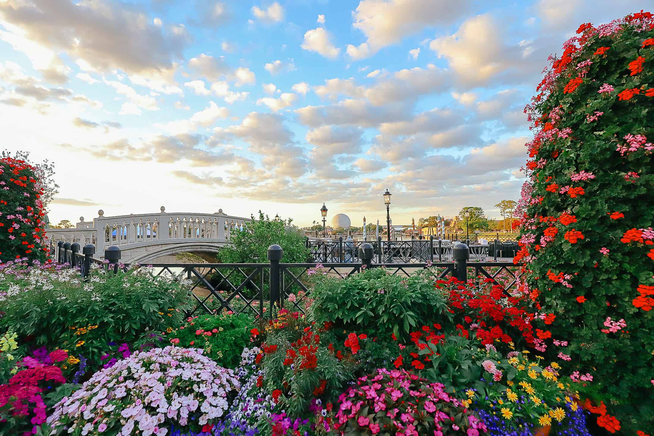 flowers framing a sunset landscape of Spaceship Earth 