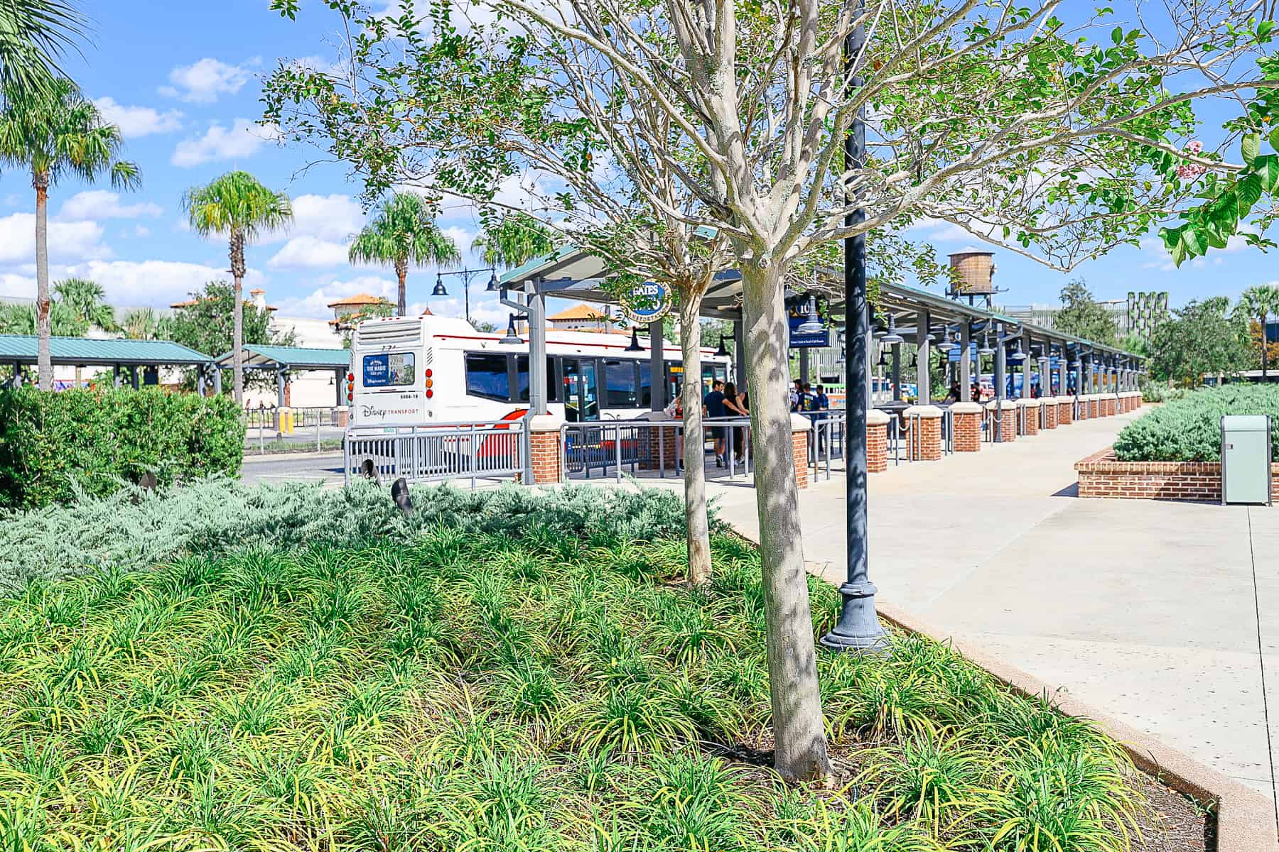 A bus parked at one of the resort pick ups at Disney Springs 