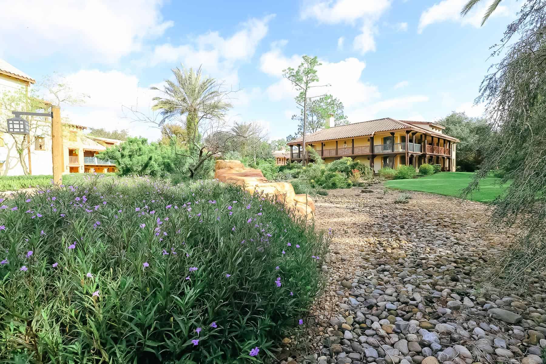 rock landscaping with blooming purple flowers and a desert landscape 