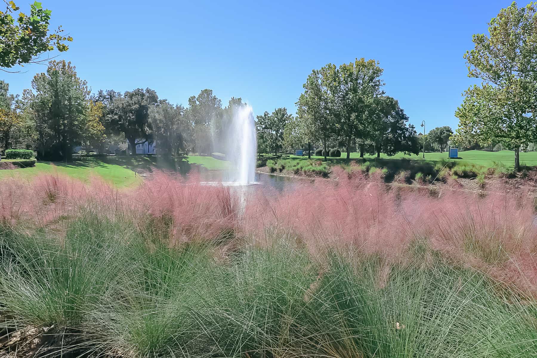 landscape of Saratoga Springs 