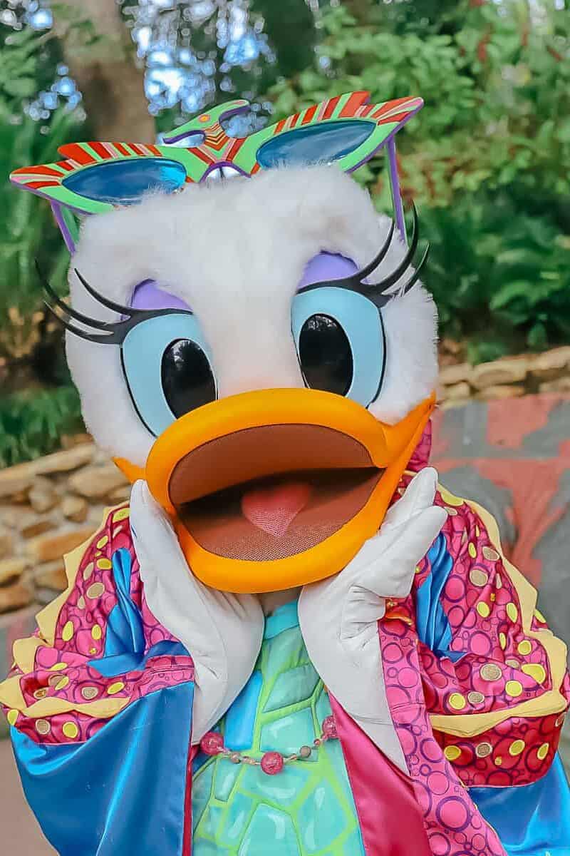 Daisy Duck in her fashionista look with glasses. 