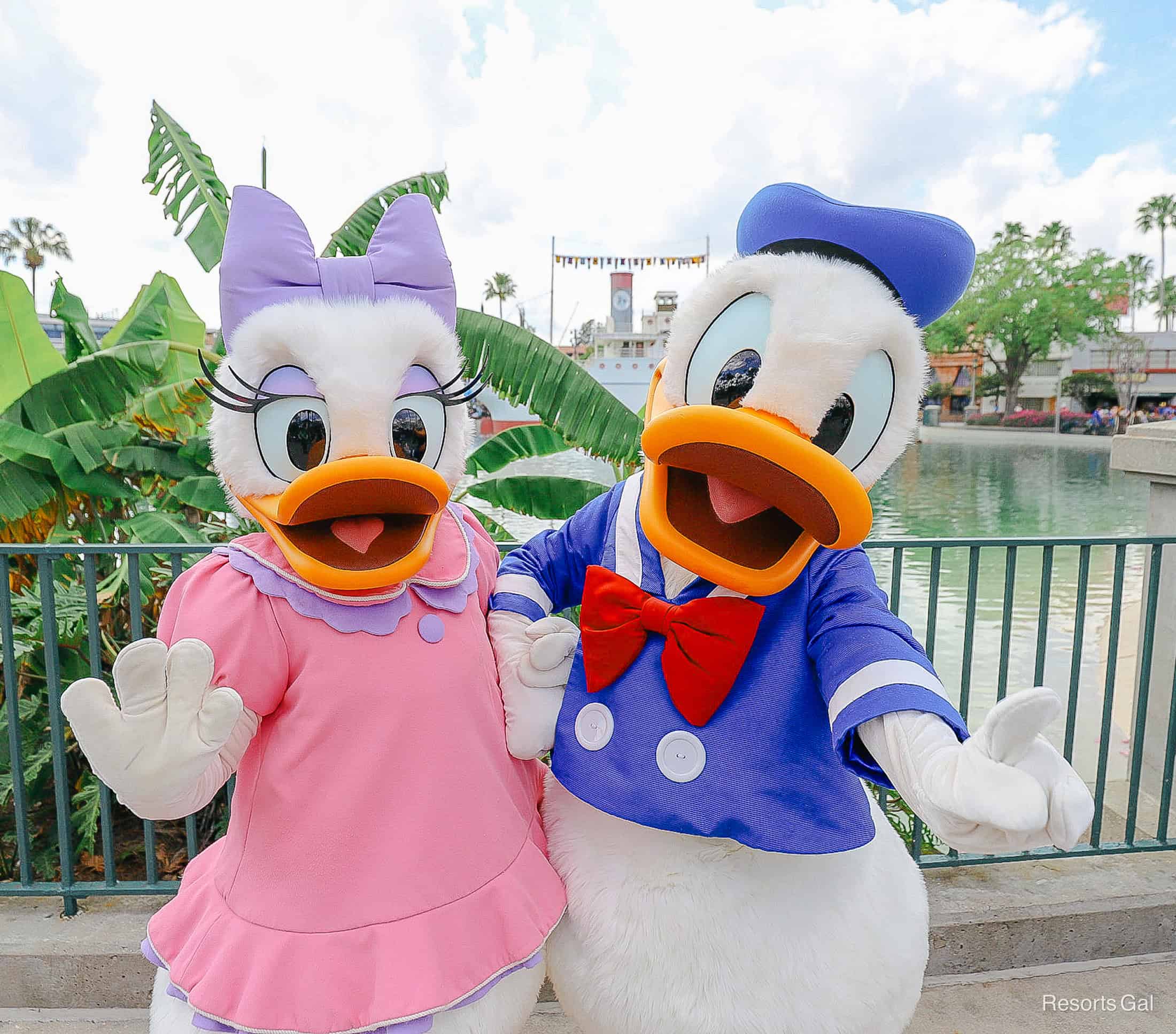 Donald in his blue sailor suit and Daisy in her pink dress with purple bow at Hollywood Studios. 